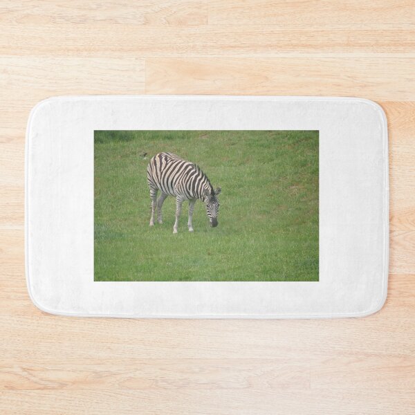 Item preview, Lone Zebra designed and sold by Tamara McDonnell.
