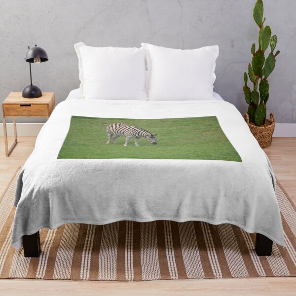 Item preview, Lone Zebra designed and sold by Tamara McDonnell.