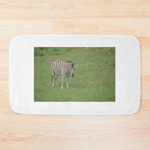 Item preview, Zebra designed and sold by Tamara McDonnell.