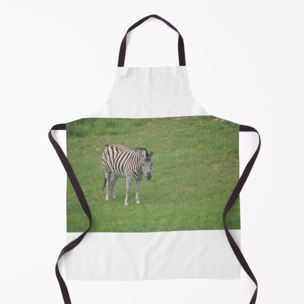 Item preview, Zebra designed and sold by Tamara McDonnell.