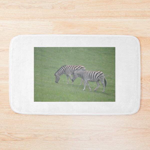 Item preview, Pair of Zebras designed and sold by Tamara McDonnell.