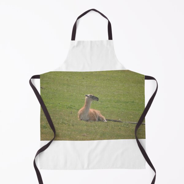 Item preview, Llama designed and sold by Tamara McDonnell.
