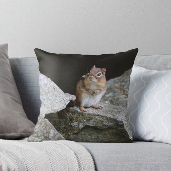 Item preview, Cutest Chipmunk Ever designed and sold by LisaNaturePhoto.