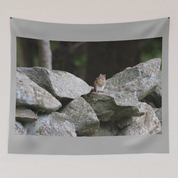 Item preview, Cutest Chipmunk Ever designed and sold by LisaNaturePhoto.