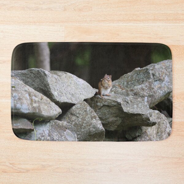 Item preview, Cutest Chipmunk Ever designed and sold by LisaNaturePhoto.