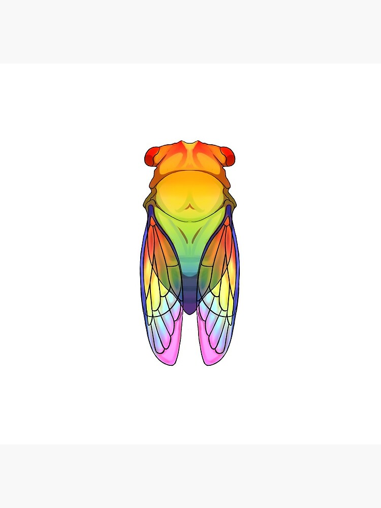 Rainbow cicada by Amerart