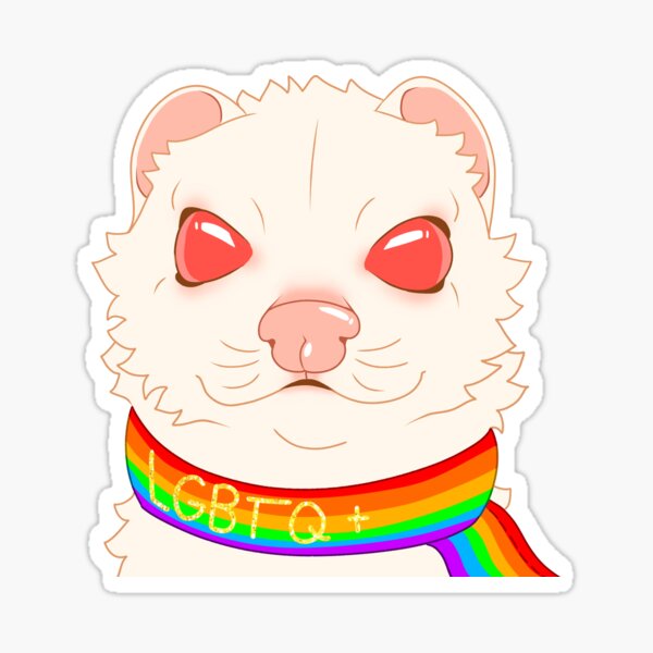 Sticker Albino Ferret Redbubble