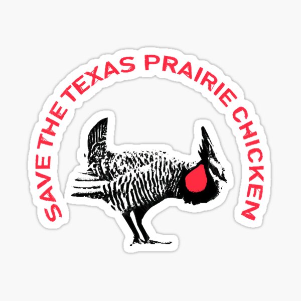 Save The Texas Prairie Chicken Sticker