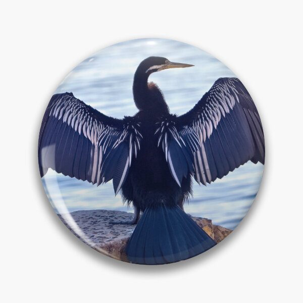 Item preview, Darter Bird 42 designed and sold by kevin Chippindall.