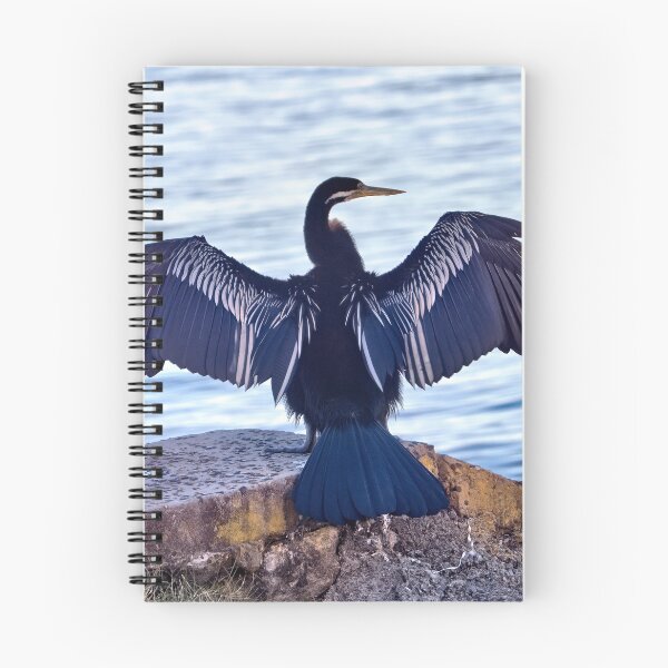 Item preview, Darter Bird 42 designed and sold by kevin Chippindall.