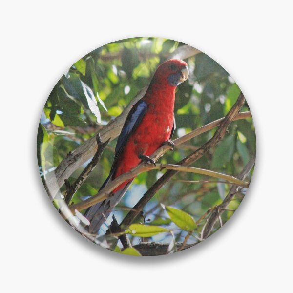 Item preview, Crimson Rosella designed and sold by KazM.