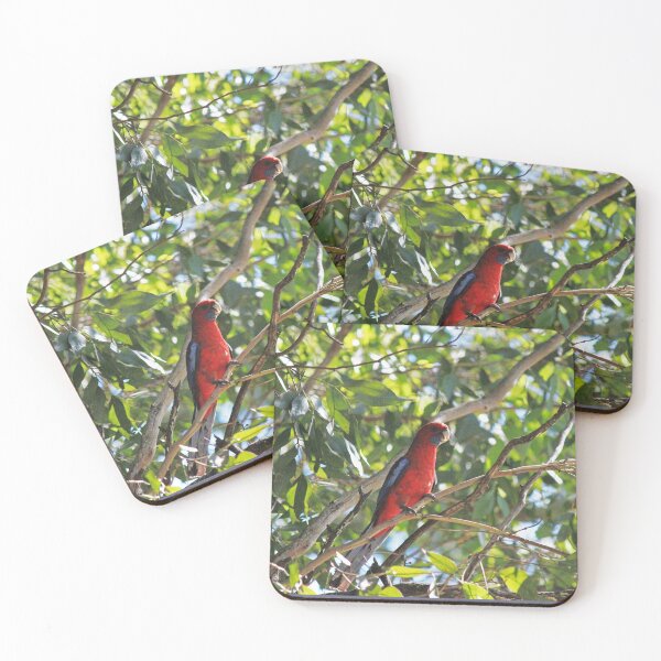 Item preview, Crimson Rosella designed and sold by KazM.