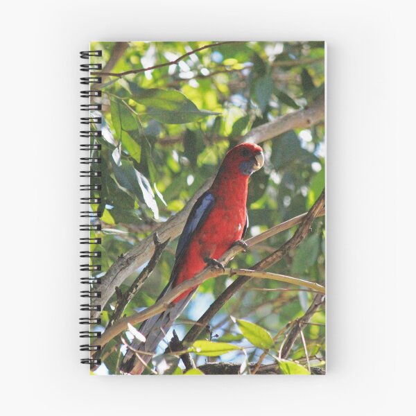 Item preview, Crimson Rosella designed and sold by KazM.