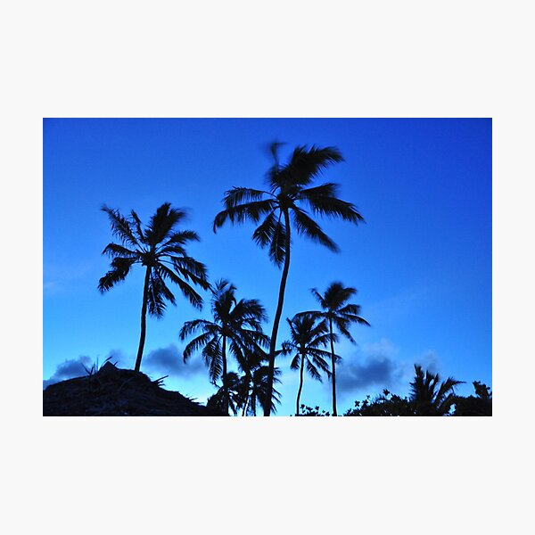 Item preview, Tropical Tree Sundown  designed and sold by GL Digital Artwork .