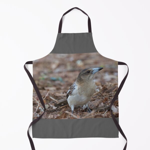 Item preview, Grey Butcherbird  designed and sold by MargsNaturePix.