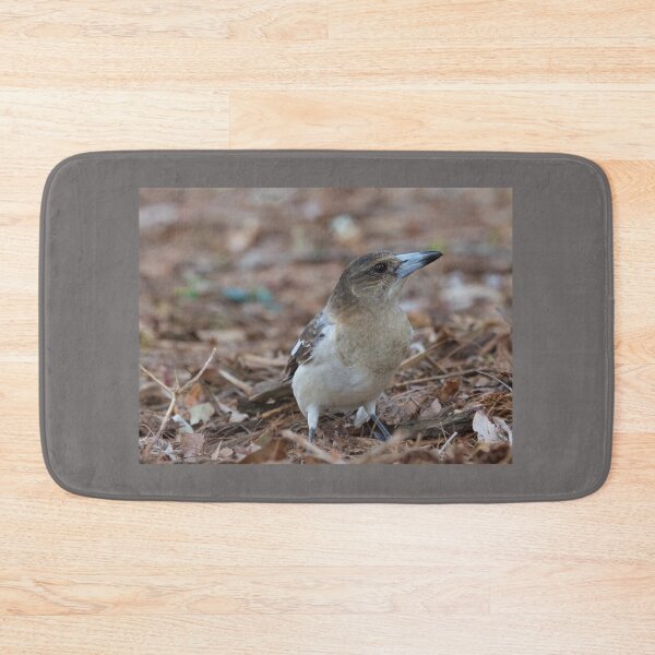 Item preview, Grey Butcherbird  designed and sold by MargsNaturePix.