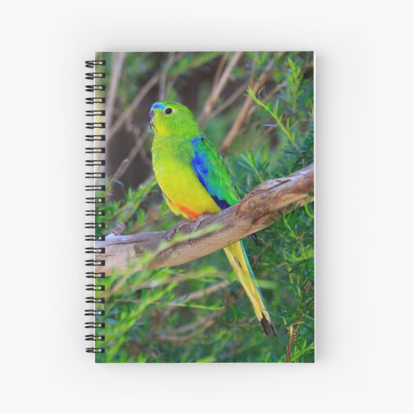 Notebook - OBP Spiral Notebook
