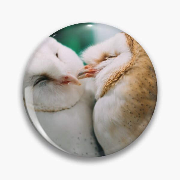 Item preview, Kissing Birds - A Pair of Fluffy Owls Cooing and Kissing - Owls Preen Each Other With Love designed and sold by sthNnth.