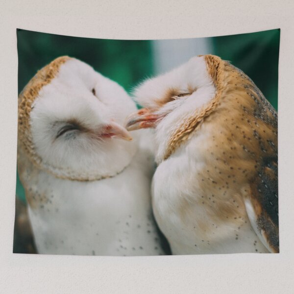 Item preview, Kissing Birds - A Pair of Fluffy Owls Cooing and Kissing - Owls Preen Each Other With Love designed and sold by sthNnth.
