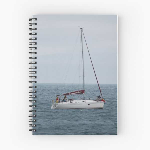 Item preview, Ouch! looks like the anchor rope is cutting into the bow. designed and sold by Declan Carr.