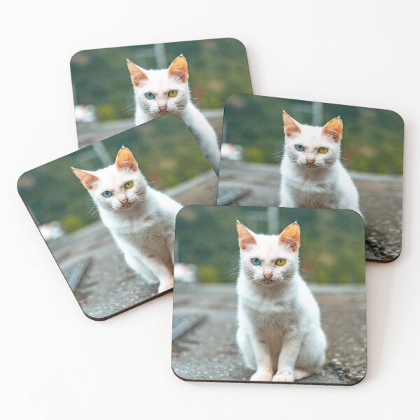Item preview, White cat blue and yellow eyes  designed and sold by KiwaiiStore.