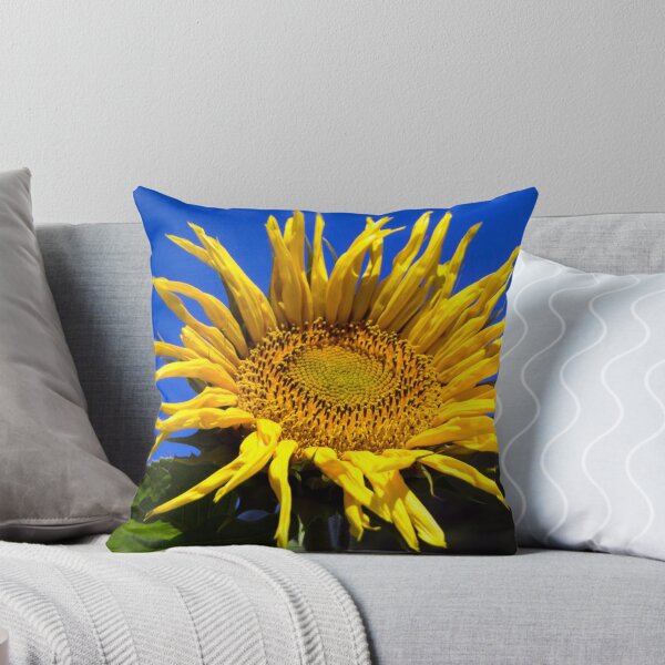 Artikelvorschau, Alb Sonnenblume entworfen und verkauft von pcfyi.