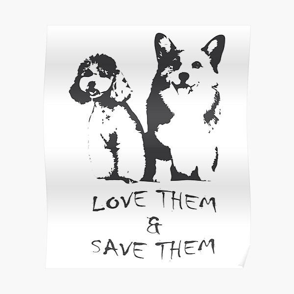 Love them & Save them _ Save Animals