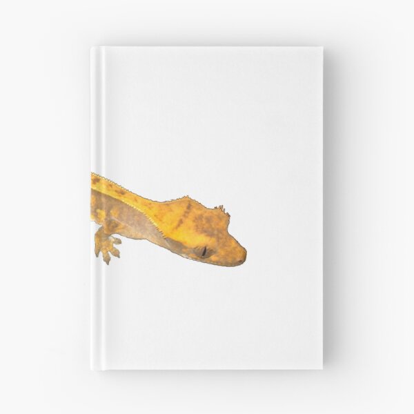 Item preview, Lily designed and sold by NateTheAquarist.