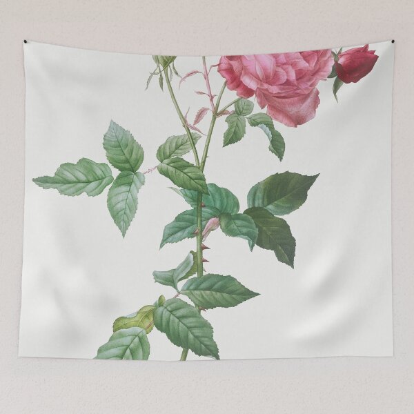 Item preview, Les Roses by Pierre-Joseph Redouté designed and sold by EsotericBotanic.