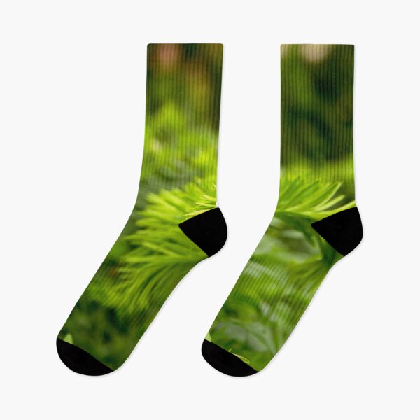 Item preview, Evergreen designed and sold by Babbler01.
