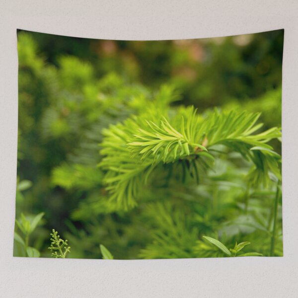 Item preview, Evergreen designed and sold by Babbler01.