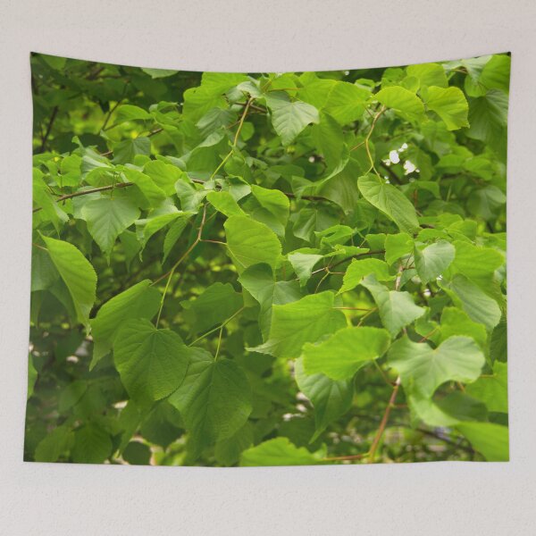Item preview, green designed and sold by Babbler01.