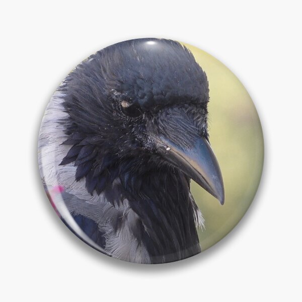 Item preview, Hooded crow designed and sold by Babbler01.