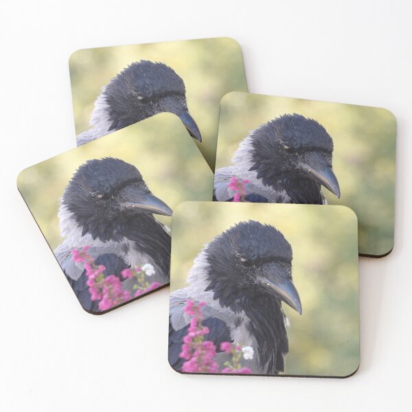 Item preview, Hooded crow designed and sold by Babbler01.
