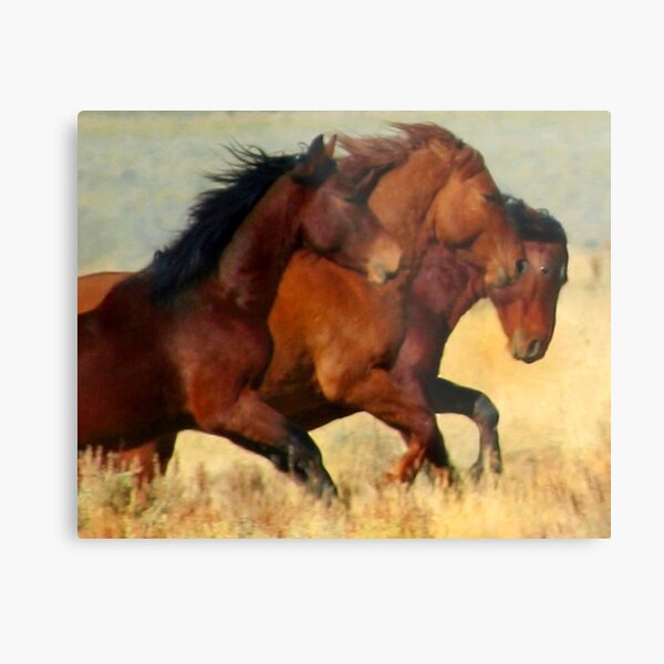 Three Graces Metal Print