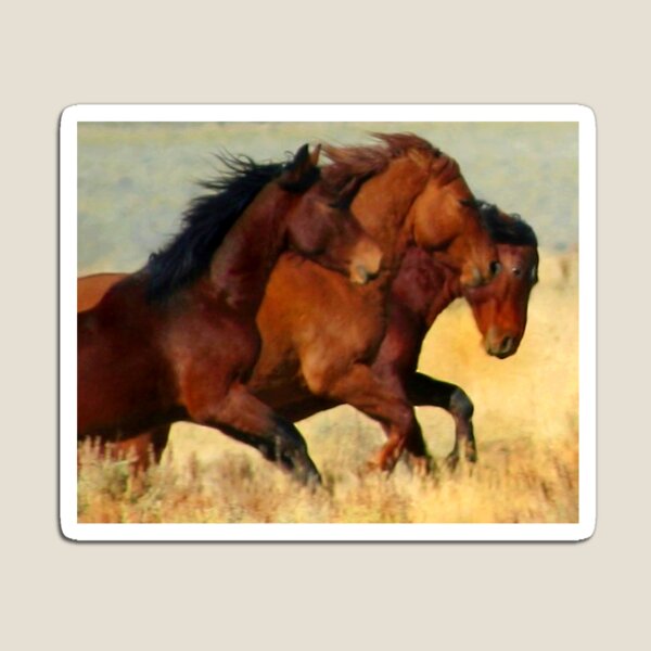 Three Graces Magnet