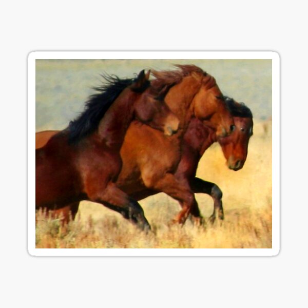 Three Graces Sticker