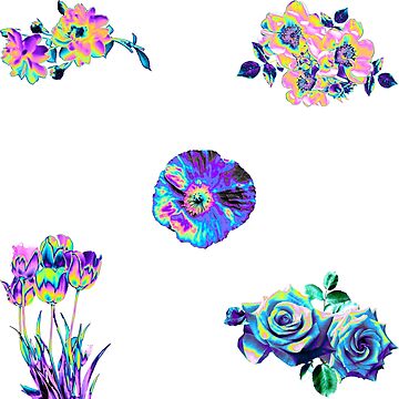 Artwork thumbnail, New Holo Flower Assortment by dinaaaaaah