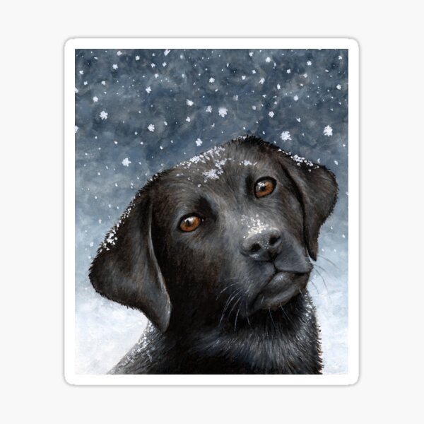 Dog 100 Black Labrador Sticker