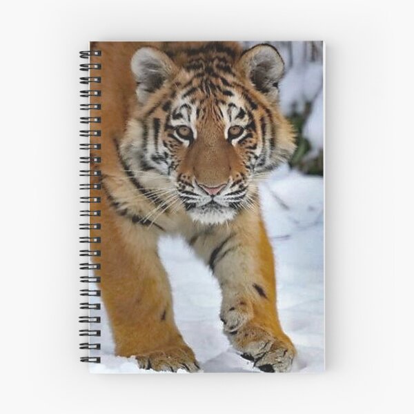 Item preview, A Gorgeous Amur Tiger Cub designed and sold by Karen Thomson.