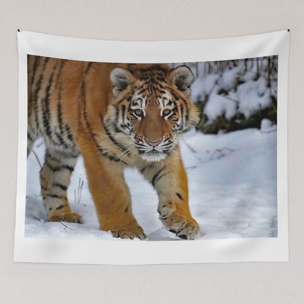 Item preview, A Gorgeous Amur Tiger Cub designed and sold by Karen Thomson.