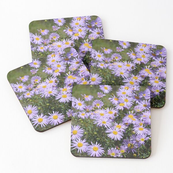 Item preview, Shark Bay Daisies designed and sold by Ickie-Jay-22.
