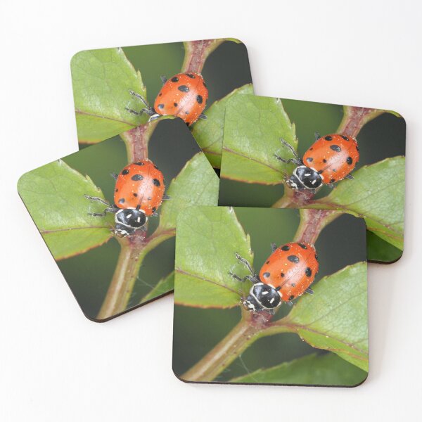 Item preview, Hippodamia convergens (convergent lady beetle) designed and sold by SDym Photography.