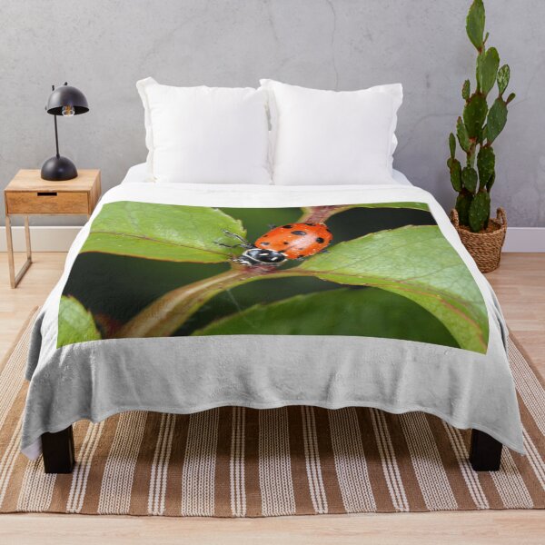 Item preview, Hippodamia convergens (convergent lady beetle) designed and sold by SDym Photography.