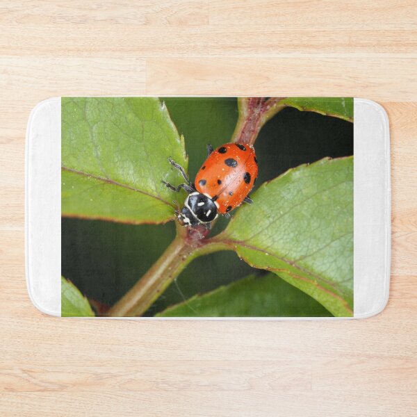 Item preview, Hippodamia convergens (convergent lady beetle) designed and sold by SDym Photography.