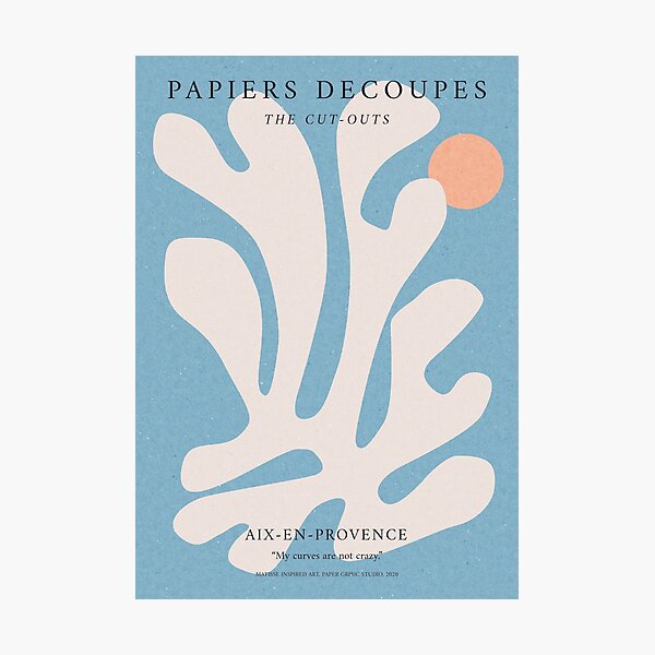 Matisse curves print, Papiers découpés, Matisse inspired art poster, Matisse Cut out, Flower market print, Exhibition wall art, Trendy, Abstract Botanical Photographic Print