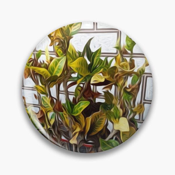 Item preview, Plant , Crompton garden(yellow leaf plant) designed and sold by SHWETA Sanghani.