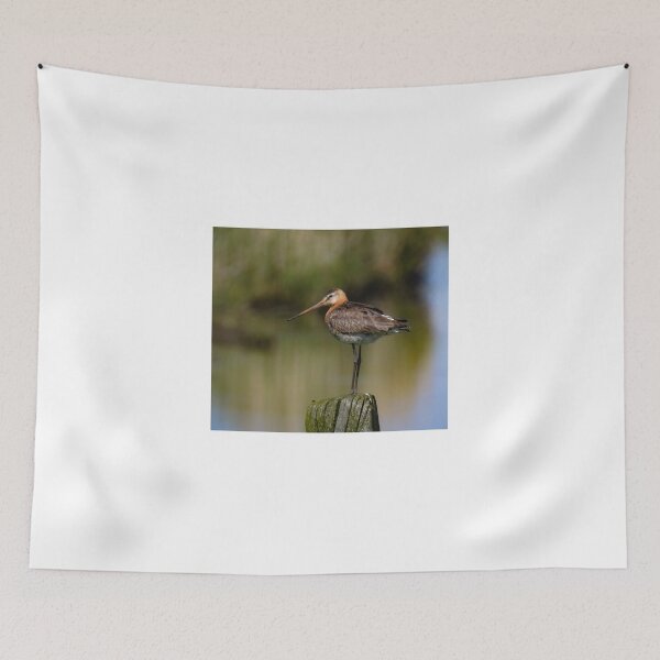 Item preview, Black tailed godwit designed and sold by Anita van Gendt.