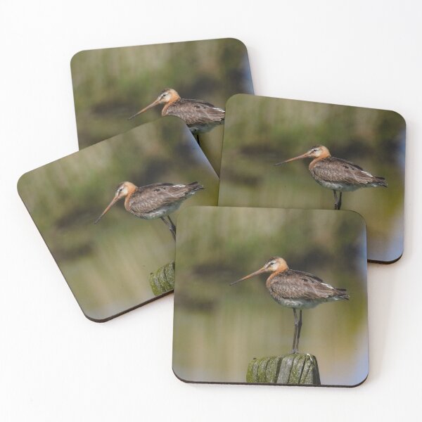 Item preview, Black tailed godwit designed and sold by Anita van Gendt.