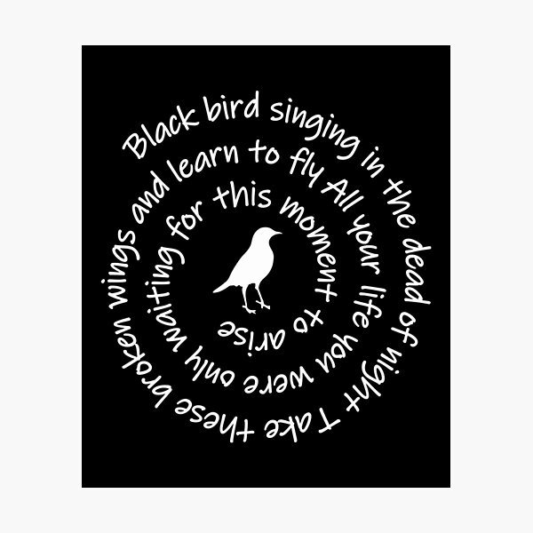 Do blackbirds sing in the dead of night? Do blackbirds sing in the dead of night?